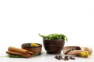 Ayurveda Service